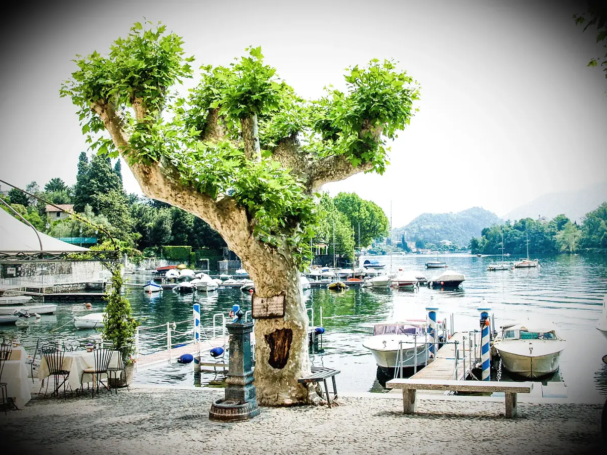 View of the lake and Isola Comacina from La Tirlindana